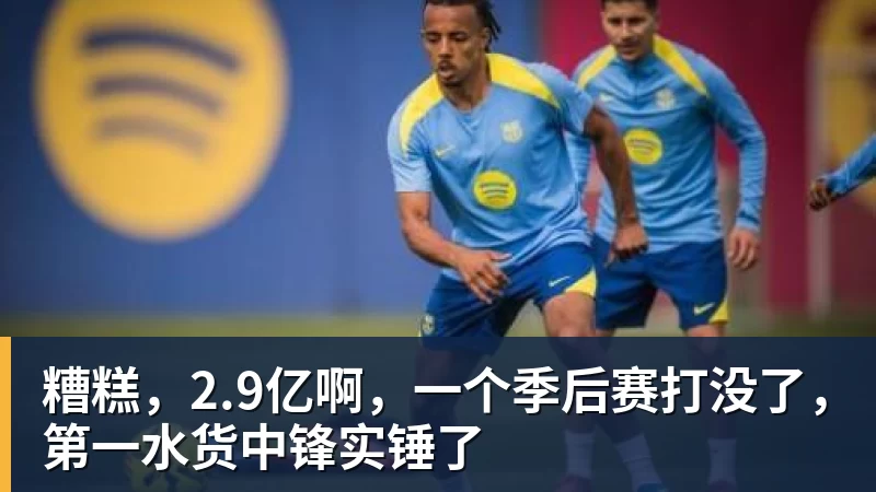 华体会体育糟糕，2.9亿啊，一个季后赛打没了，第一水货中锋实锤了